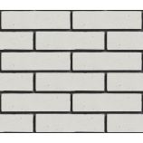 Облицовочный гиперпрессованный кирпич ложковый Цвет: белый гладкий Горус