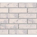 Облицовочный гиперпрессованный кирпич ложковый Цвет: белый лайт мрамор гладкий Горус
