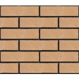 Облицовочный гиперпрессованный кирпич ложковый Цвет: терракот гладкий Горус