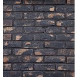 Облицовочный керамический кирпич одинарный WDF Петровский Штандарт Черный Керма