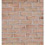 Облицовочный керамический кирпич одинарный WDF Петровский Штандарт Желто-красный Керма