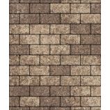 Тротуарная плитка Поревит Коллекция Гладкий колормикс Прямоугольник 200х100х40 мм, Хаски